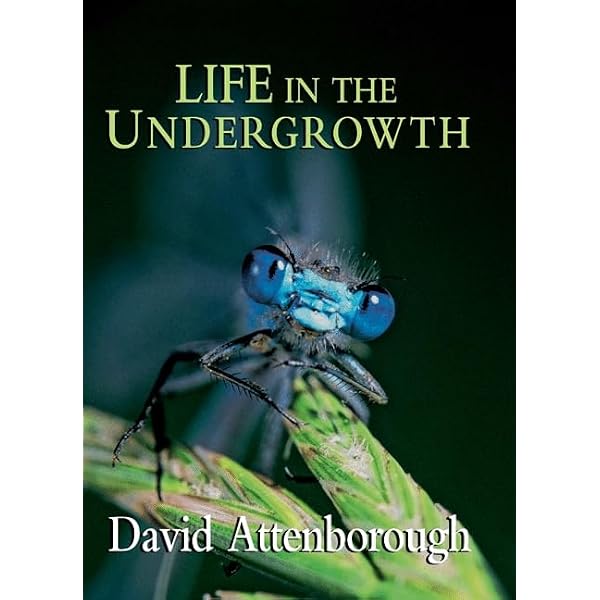 The Private Life of Plants: Attenborough, David: 9780691006390